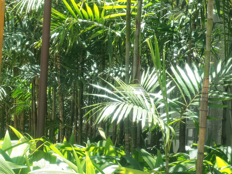 As mudanças climáticas e os sinais da natureza